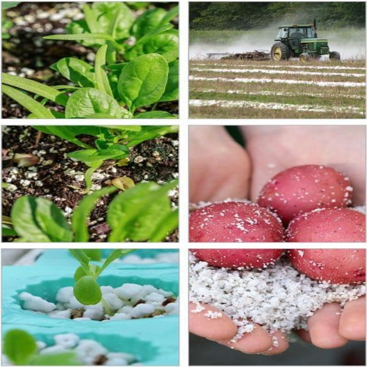 Perlit Agro 4-8 mm, 4 L - imagine 5